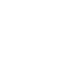 Logo mentorNET