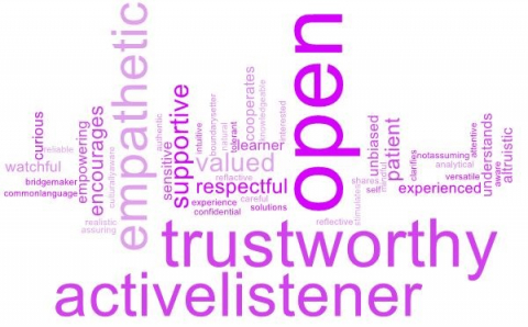 The mentorNET Mentor Attributes Word Cloud